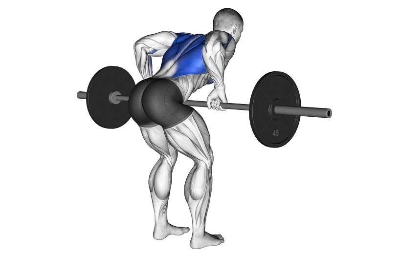 حرکات کمکی با هالتر