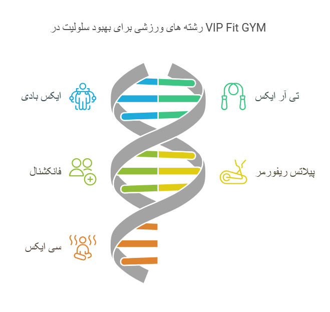 رشته های ورزشی برای بهبود سلولیت در VIP Fit GYM