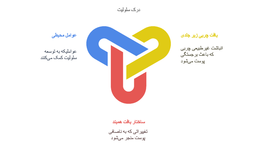 سلولیت ران پا و پشت ران چیست؟