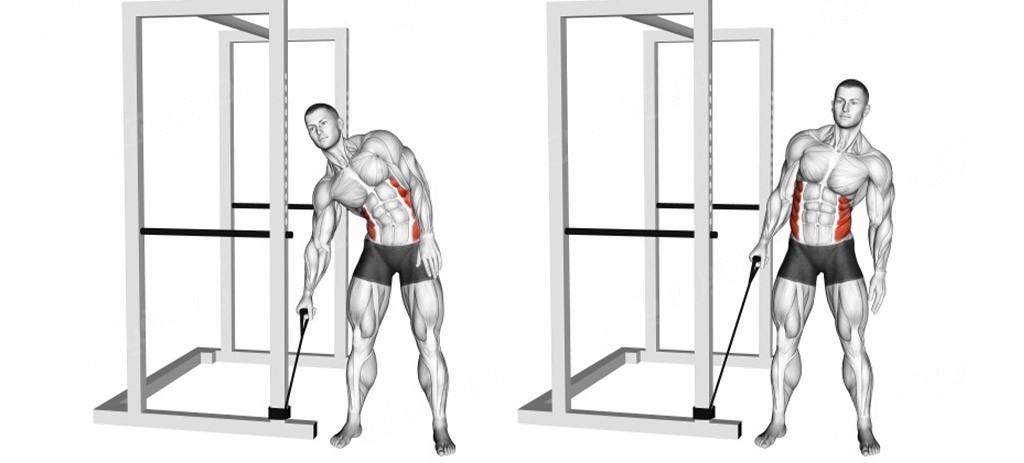 چرخش پهلو ایستاده با سیمکش (Standing Cable Twist)
