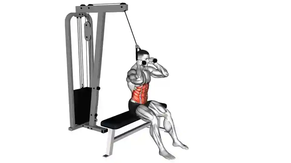 چرخش کمر نشسته با سیمکش (Seated Cable Twist)