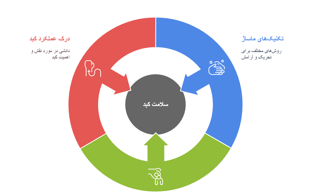 ماساژ کف دست برای کبد + بررسی کامل