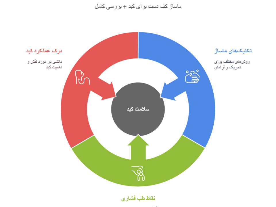 ماساژ کف دست برای کبد + بررسی کامل
