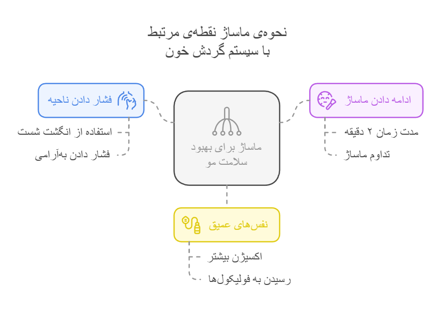 نحوه‌ی ماساژ نقطه‌ی مرتبط با سیستم گردش خون