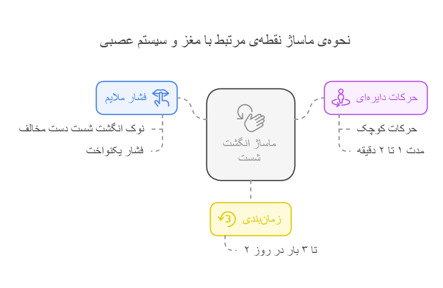 نحوه‌ی ماساژ نقطه‌ی مرتبط با مغز و سیستم عصبی