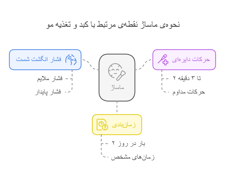 نحوه‌ی ماساژ نقطه‌ی مرتبط با کبد و تغذیه مو