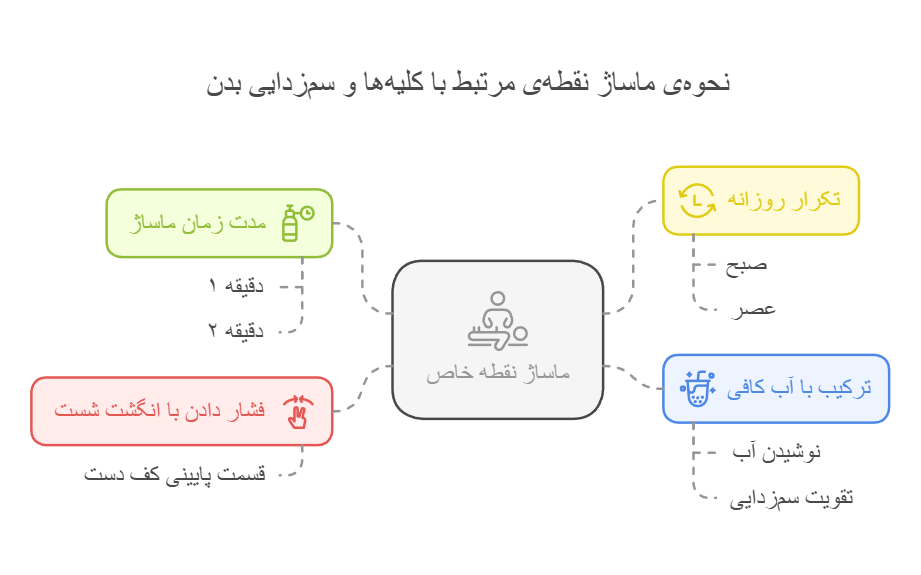 نحوه‌ی ماساژ نقطه‌ی مرتبط با کلیه‌ها و سم‌زدایی بدن