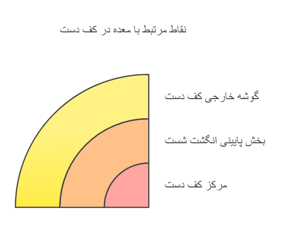 نقاط مرتبط با معده در کف دست