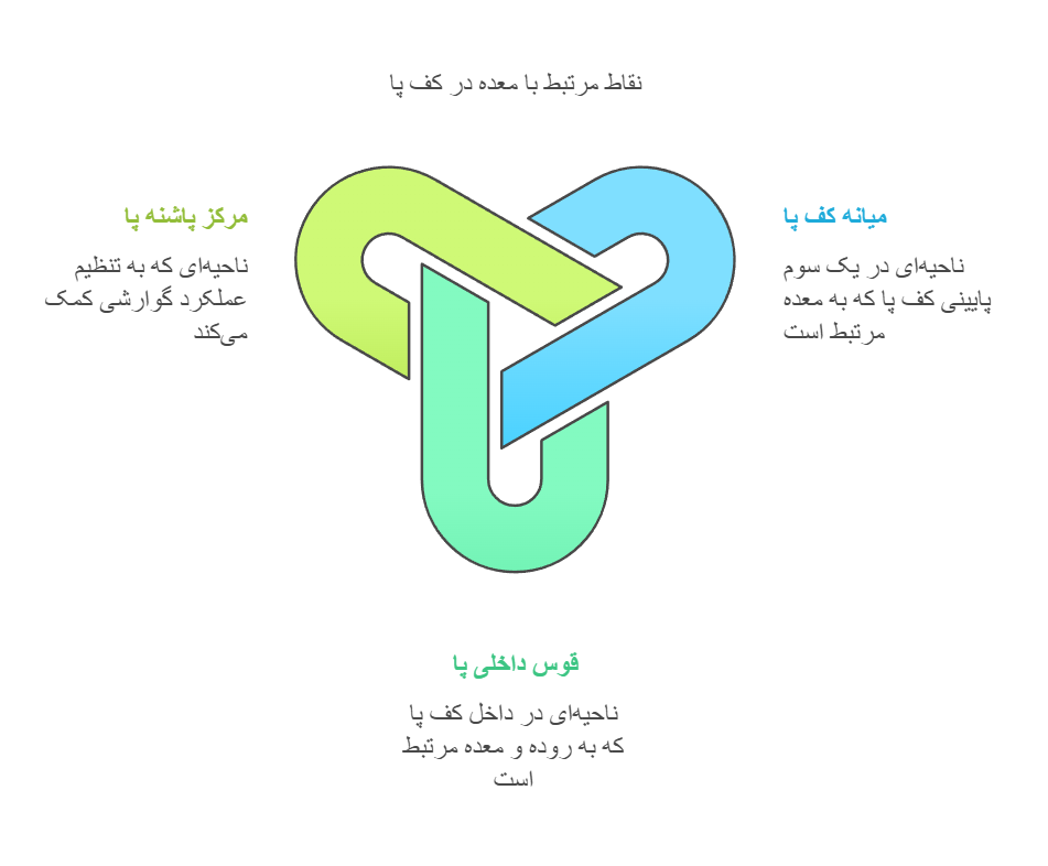 نقاط مرتبط با معده در کف پا