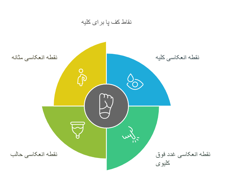 نقاط کف پا برای کلیه