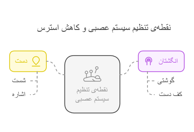نقطه‌ی تنظیم سیستم عصبی و کاهش استرس