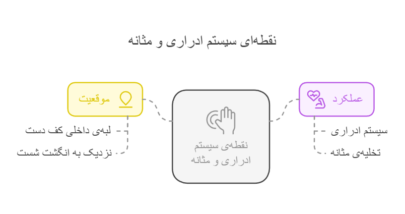 نقطه‌ی سیستم ادراری و مثانه (Bladder Reflex Point)