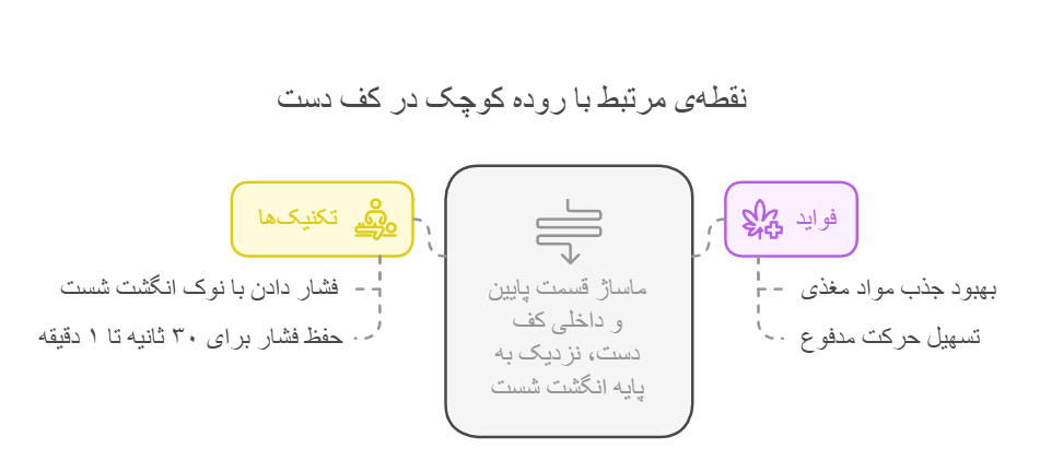 نقطه‌ی مرتبط با روده کوچک در کف دست