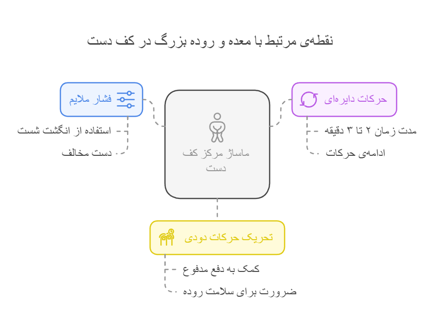 نقطه‌ی مرتبط با معده و روده بزرگ در کف دست