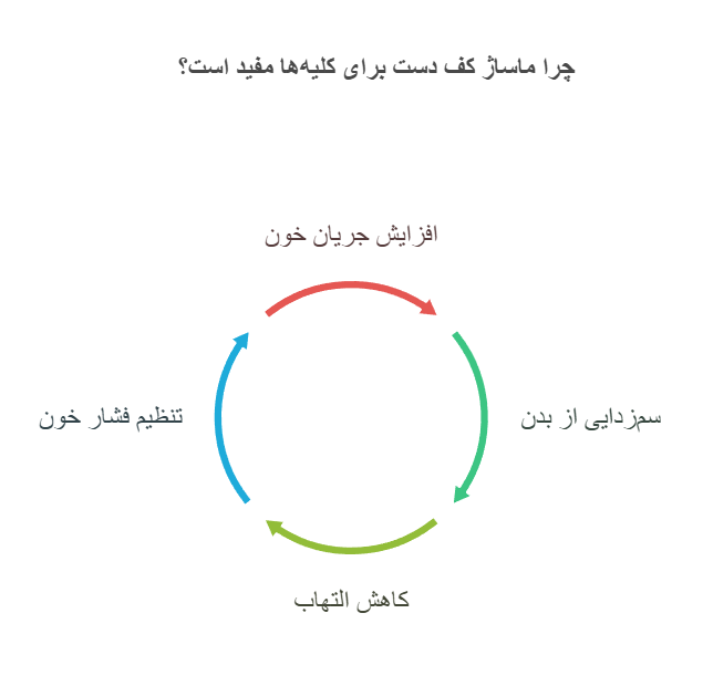 چرا ماساژ کف دست برای کلیه‌ها مفید است؟