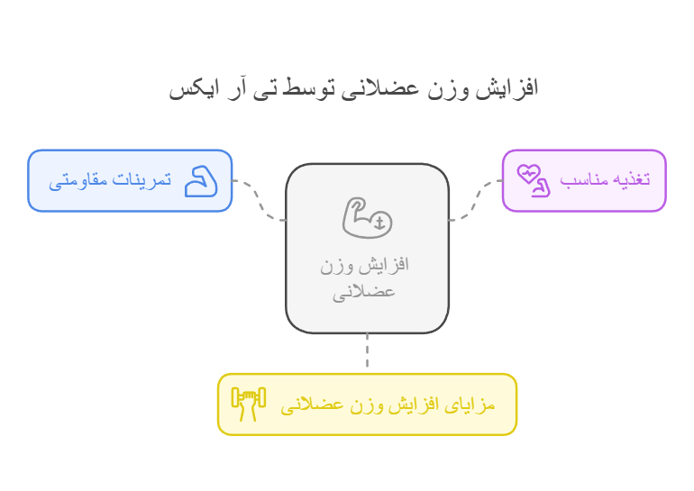 افزایش وزن عضلانی توسط تی آر ایکس