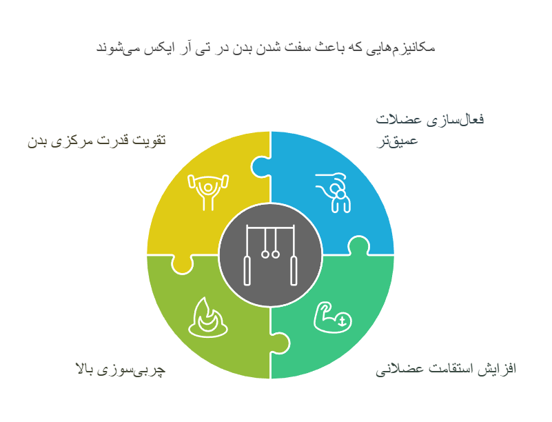 مکانیزم‌هایی که باعث سفت شدن بدن در تی آر ایکس می‌شوند