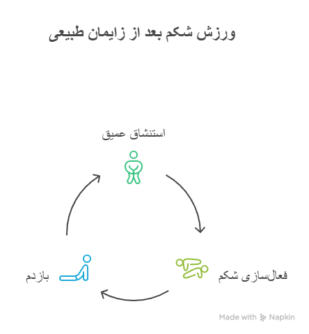 ورزش شکم بعد از زایمان طبیعی