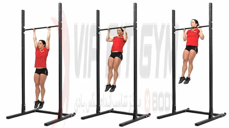 بارفیکس استاندارد