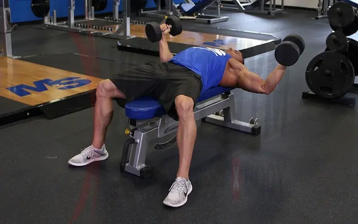 فلای دمبل برای لیفت سینه