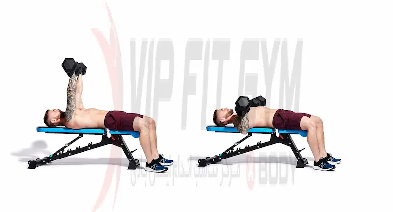 پرس سینه دمبل برای لیفت سینه