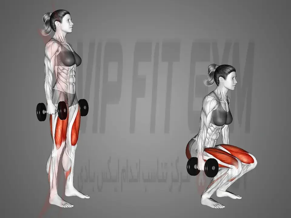 آموزش حرکت اسکوات دمبل پا جمع با عکس و فیلم