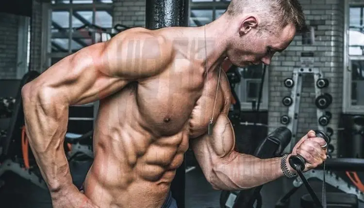 بررسی عضله سازی در سنین مختلف