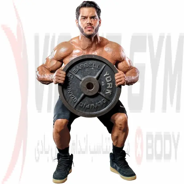 عضلات درگیر در حرکت اسکوات صفحه