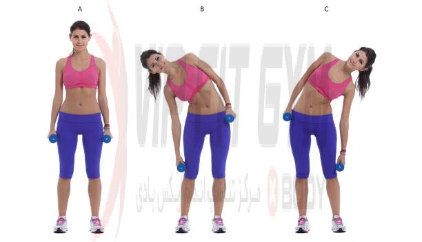 عضلات درگیر در حرکت کرانچ از پهلو با دمبل