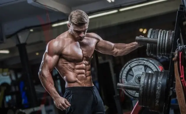 عضله سازی چیست؟