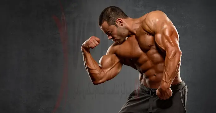 فرق عضله سازی و حجم دهی دقیقا چیست؟