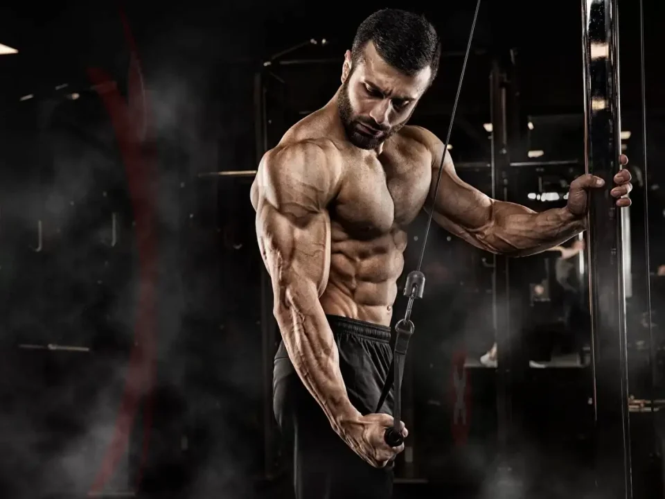 فرق عضله سازی و حجم چیست؟ - معرفی بهترین حرکات حجم دهی و عضله سازی