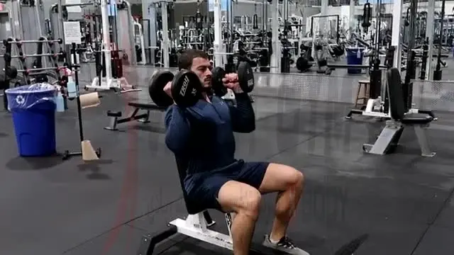 آموزش حرکت پرس سرشانه دمبل موازی نشسته