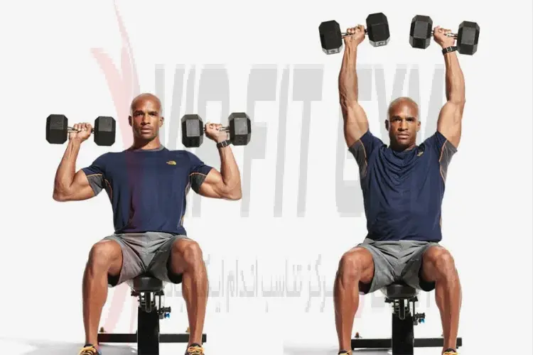 آموزش پرس سرشانه دمبل نشسته